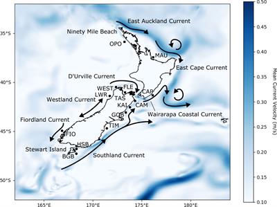 Combined biophysical and genetic modelling approaches reveal new insights into population connectivity of New Zealand green-lipped mussels